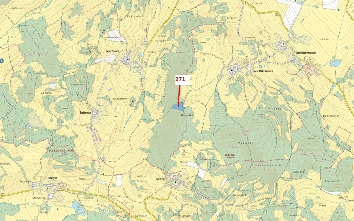 Dražba lesa 8937 m²